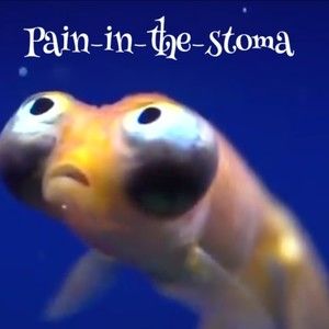 Meet your Posher, Sandy j